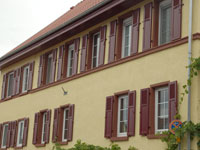 Weitere Bilder