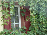 Weitere Bilder